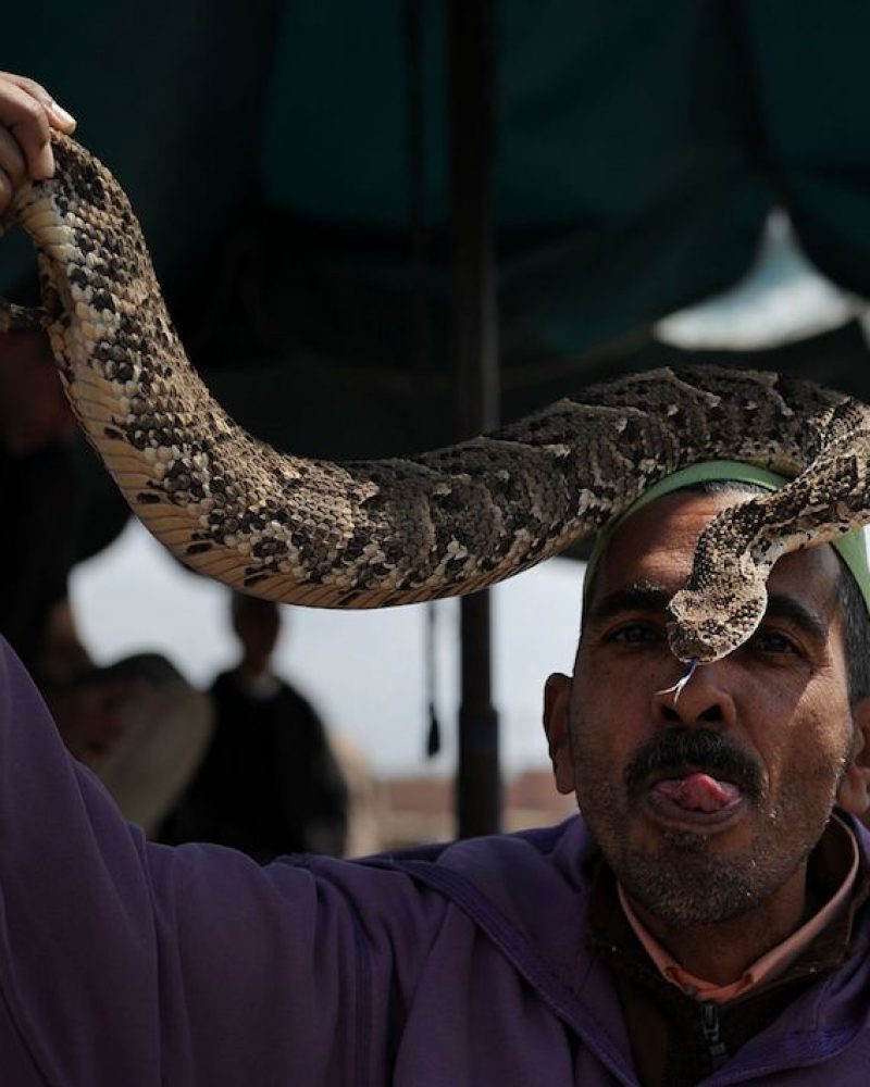 Les charmeurs de serpents